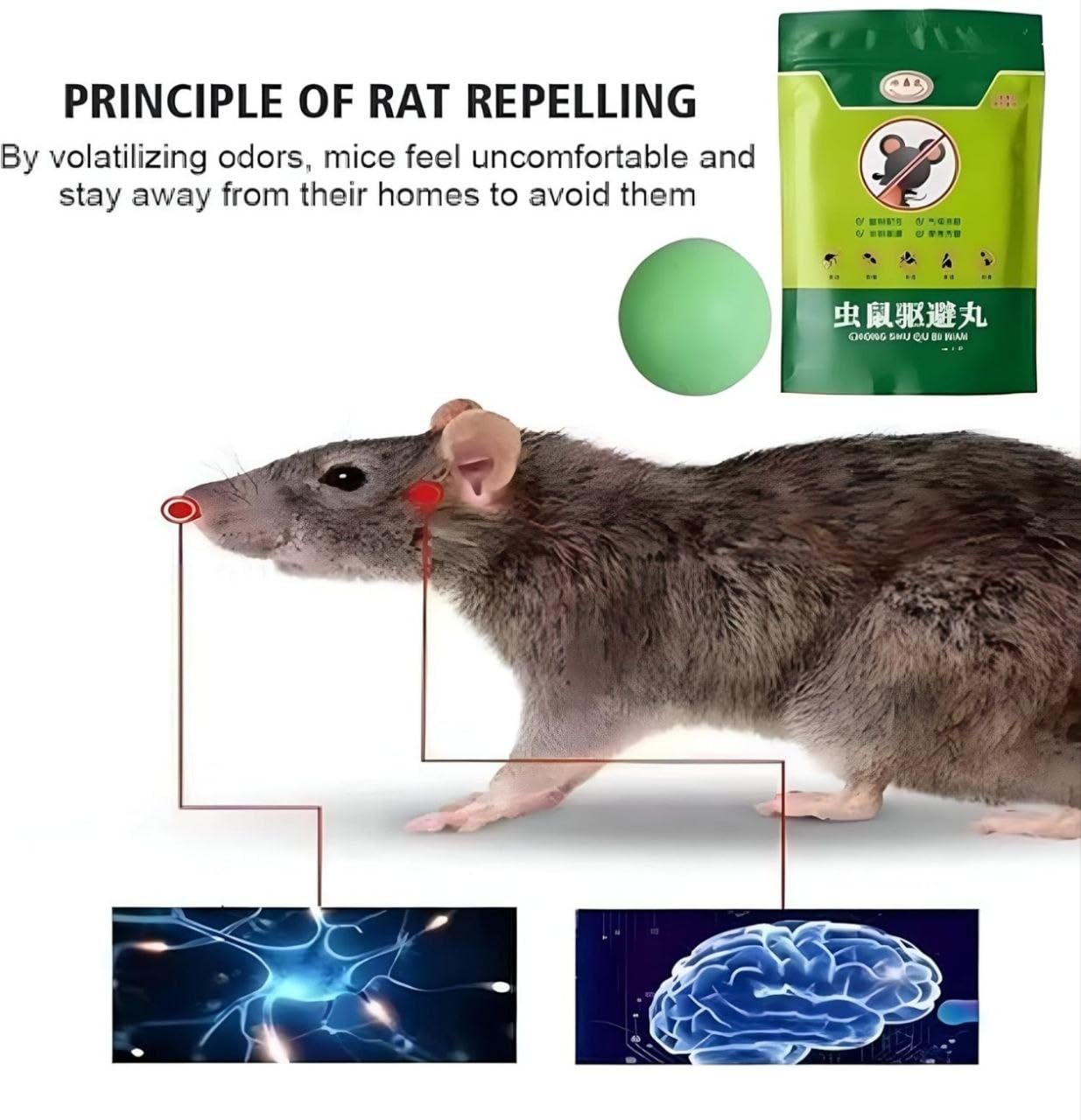 🏠 HomeSafe™ - Herbal  Ret Repellent Balls 🐭 | Flat 45 %