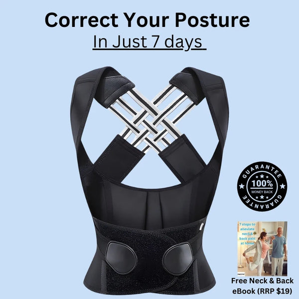 PosturePro Support Back Belt